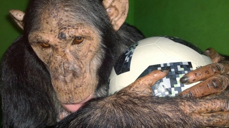 "По весточке": возможно многое